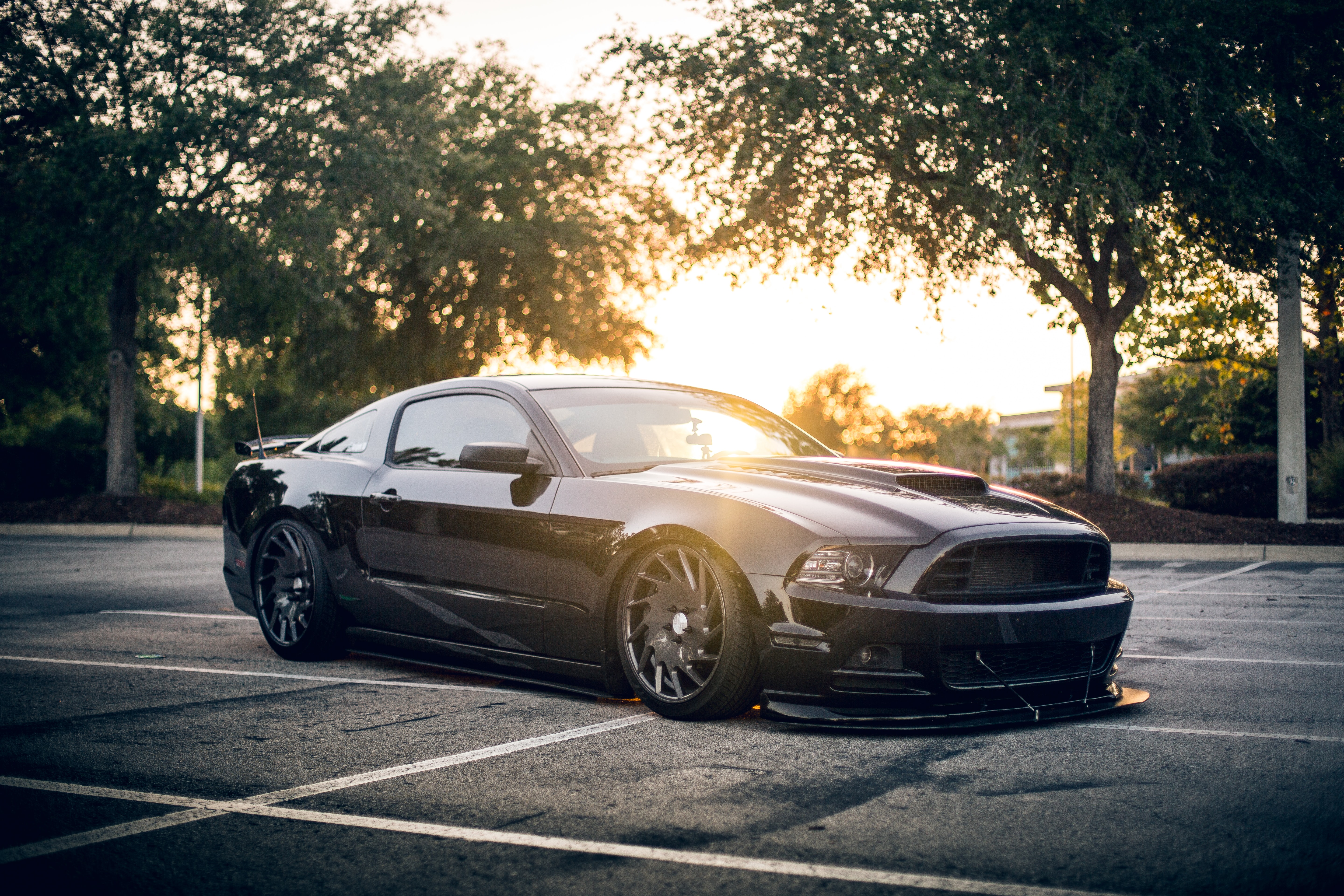 car-images